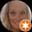 Sue R